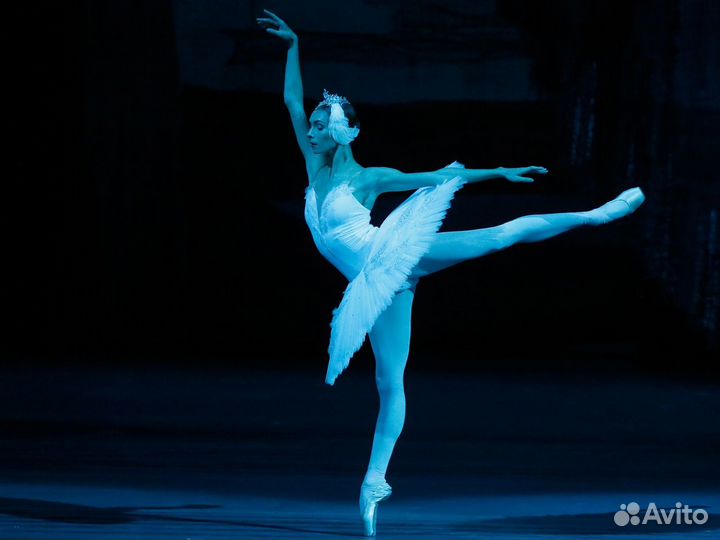 Билеты на Лебединое озеро. Большой театр