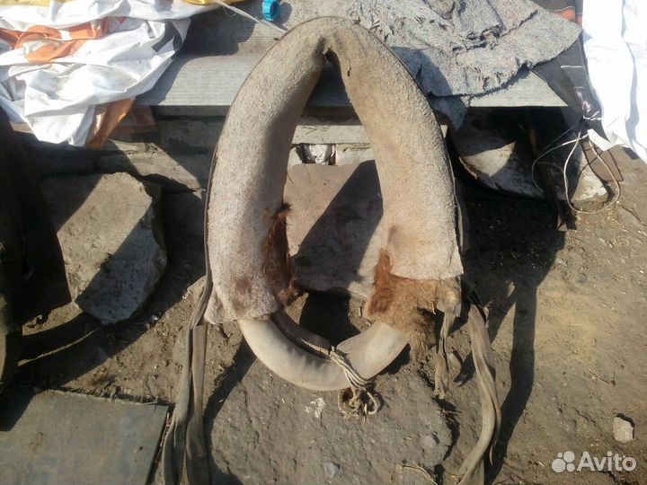 Хомут для лошади