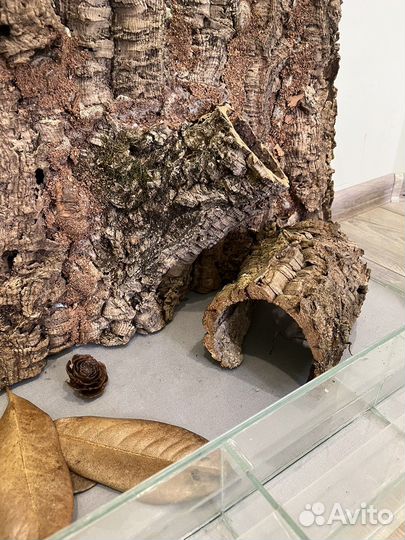 Домики (укрытие)для террариумных животных