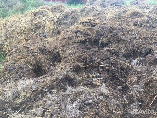 Конский навоз бесплатно
