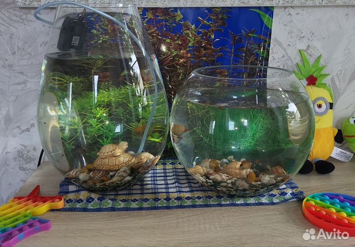 Аквариум с рыбками