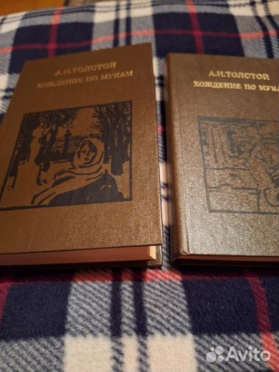 Хождение по мукам