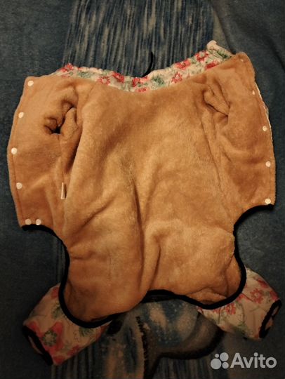 Одежда для собак