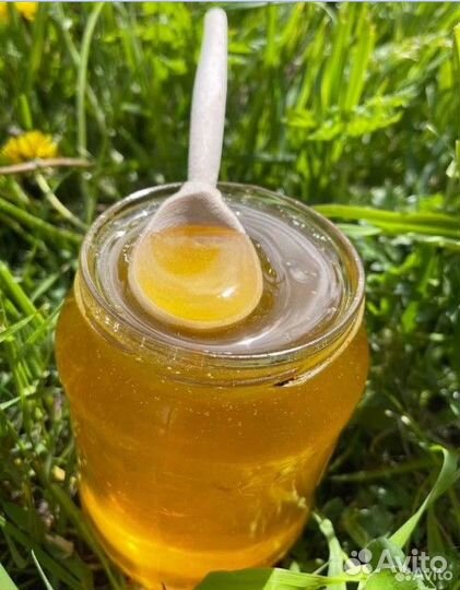 Майский мёд: Свежий, натуральный, ароматный