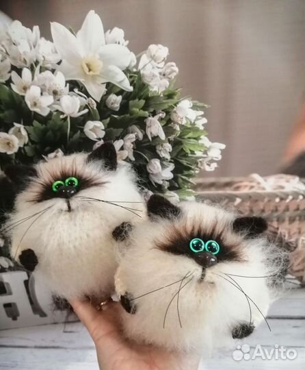 Вязаный кот
