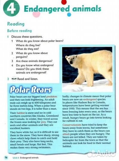 Oxford Primary Skills reading and writing 6