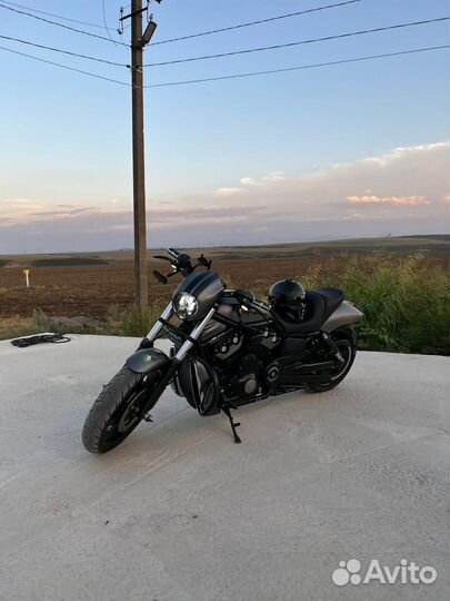 Harley Davidson v rod night rod