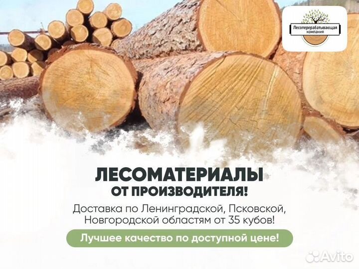 Пиловочник Хвойный