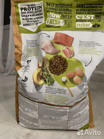 Корм для маленьких собак now fresh