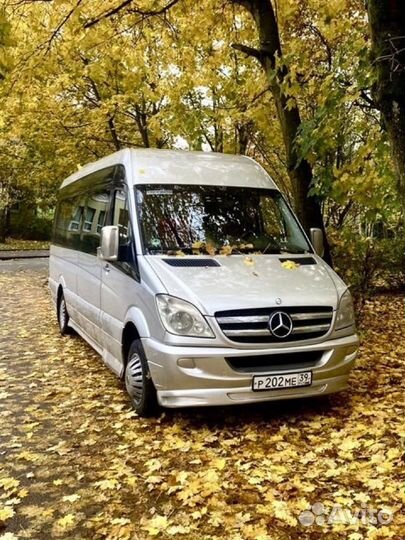 Аренда с водителем от 6 до 52 места