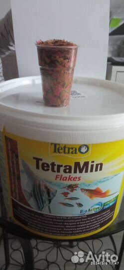 Корм для рыбок