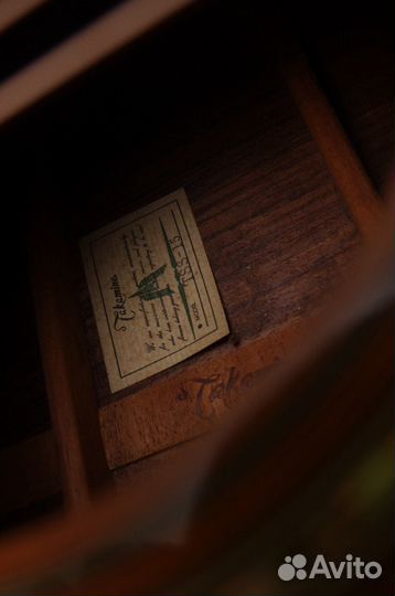 Акустика Takamine TSS-15.Массив.Japan.Кейс