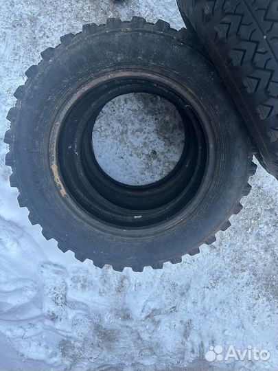 Алтайшина Forward Professional 359 175/80 R16C 30Y