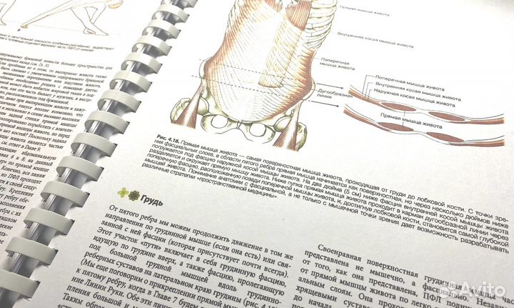 Анатомические поезда 4 издание