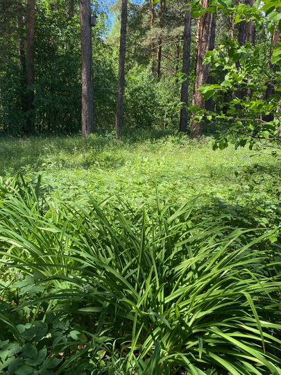 Дача 40 м² на участке 7 сот.