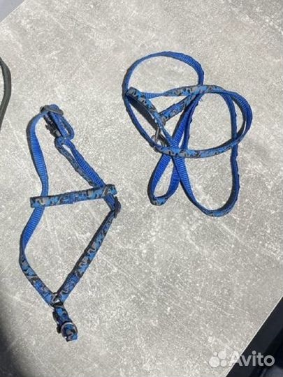 Много всего нового и бу для собак и кошек