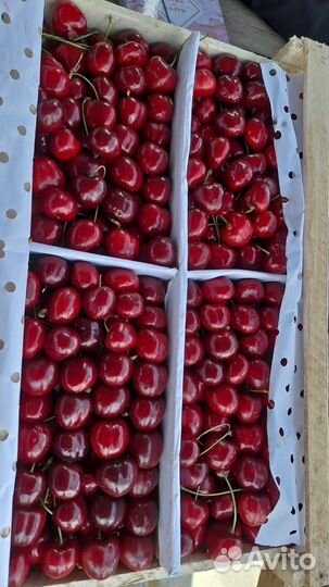 Овощи фрукты