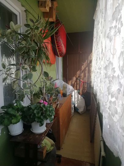 2-к. квартира, 43,4 м², 2/5 эт.