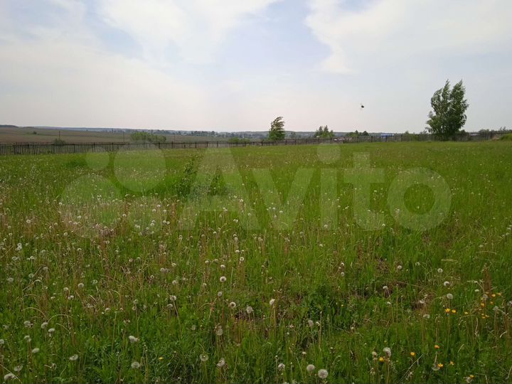 Участок 40 сот. (ИЖС)