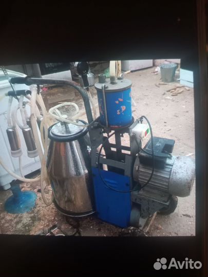 Дойная аппарат бу