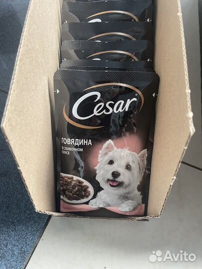 Корм для собак cesar