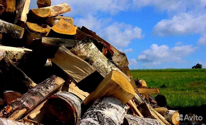 На дворе трава на траве дрова