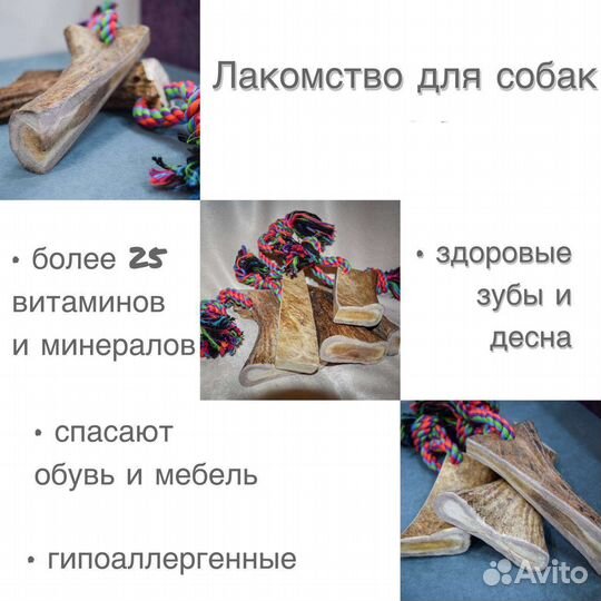 Корм для собак (лакомство)