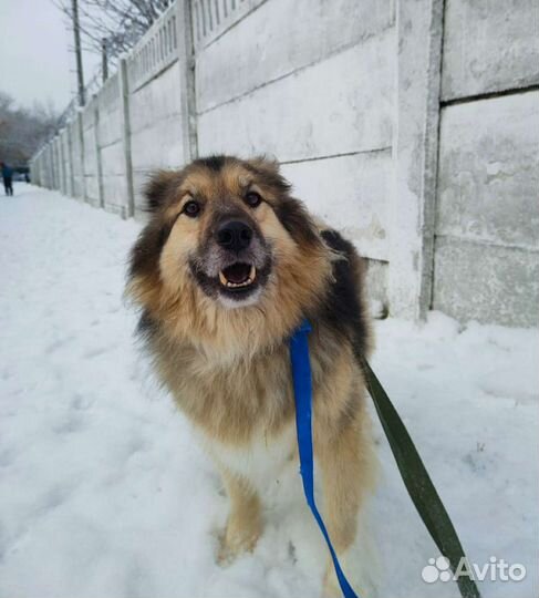 Старый Бароша мечтает пожить дома сколько успеет
