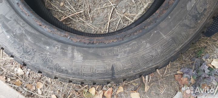 Gislaved Nord Frost 5 185/65 R15