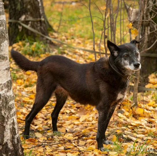 Выбирайте сердцем
