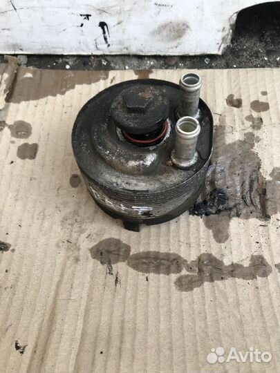 Радиатор масляный Nissan Pathfinder