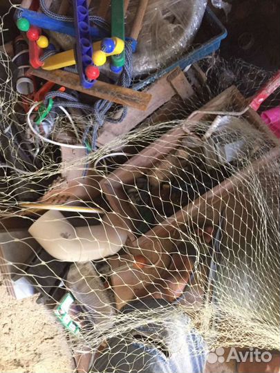 Сетка от птиц