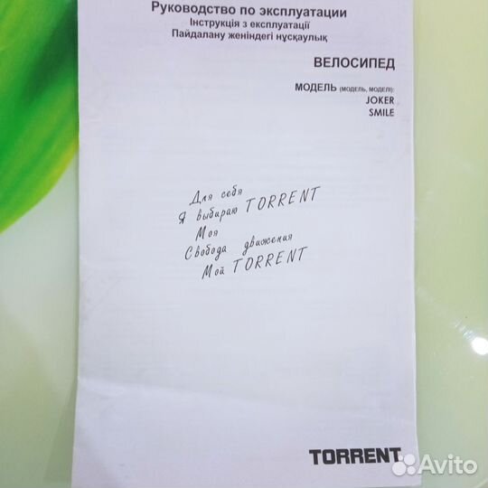 Детский велосипед Torrent Smile