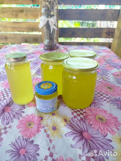 Сурчиный жир