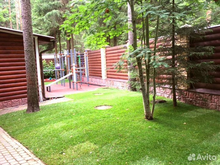 Рулонный газон от производителя