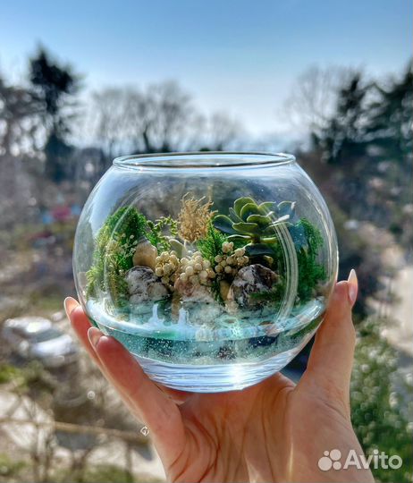 Флорариум 
