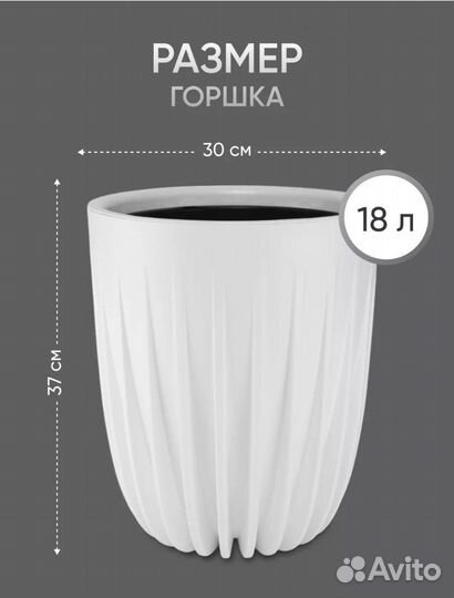 Кашпо Ливингрин большое