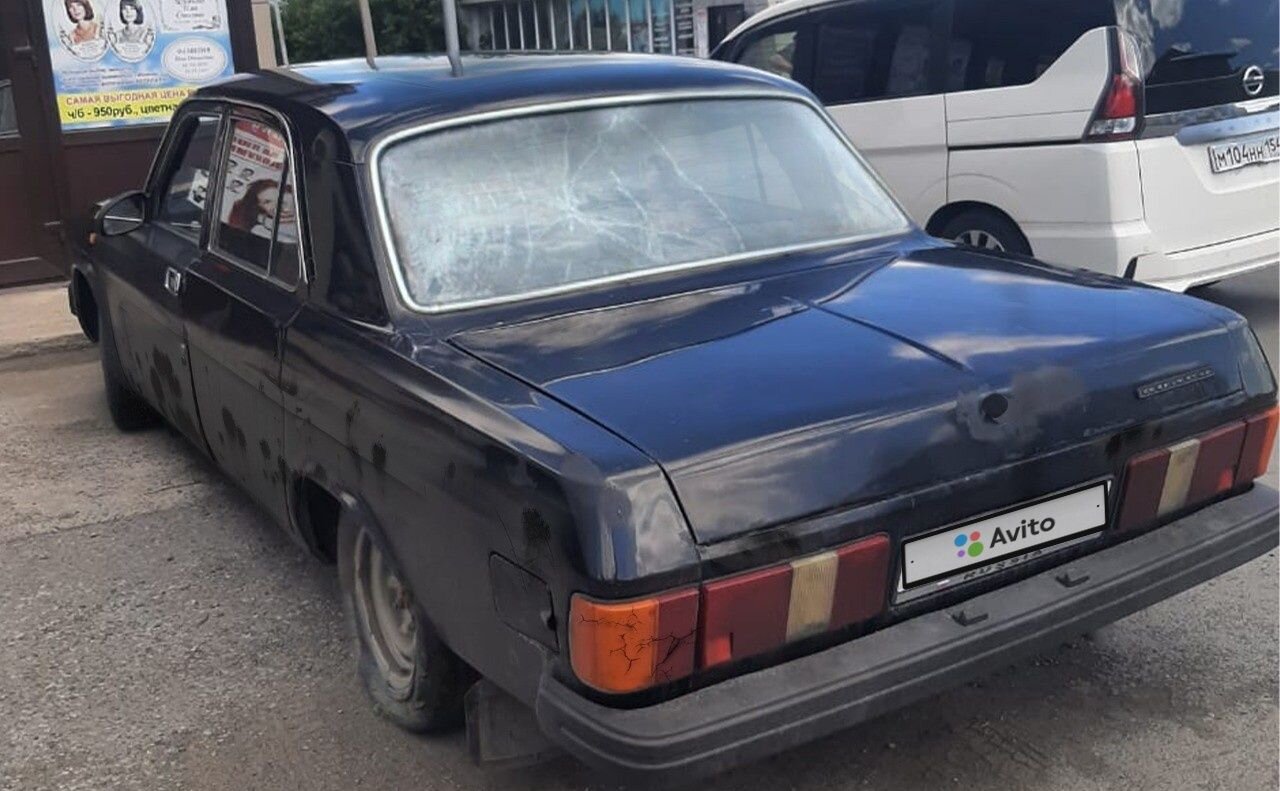 ГАЗ 31029 Волга: фото владельца