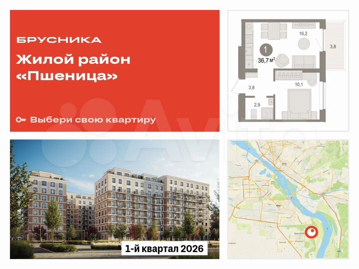 1-к. квартира, 36,7 м², 3/17 эт.