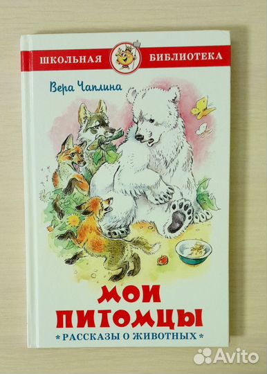 Школьная библиотека книги