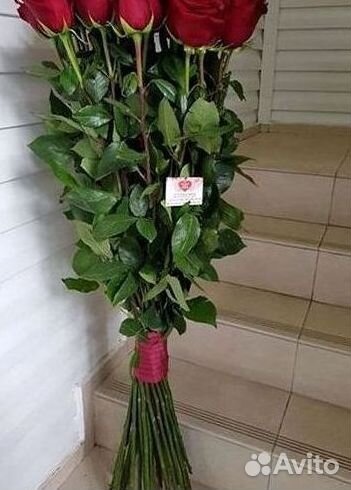 Высокие розы Гигантские розы Доставка цветов