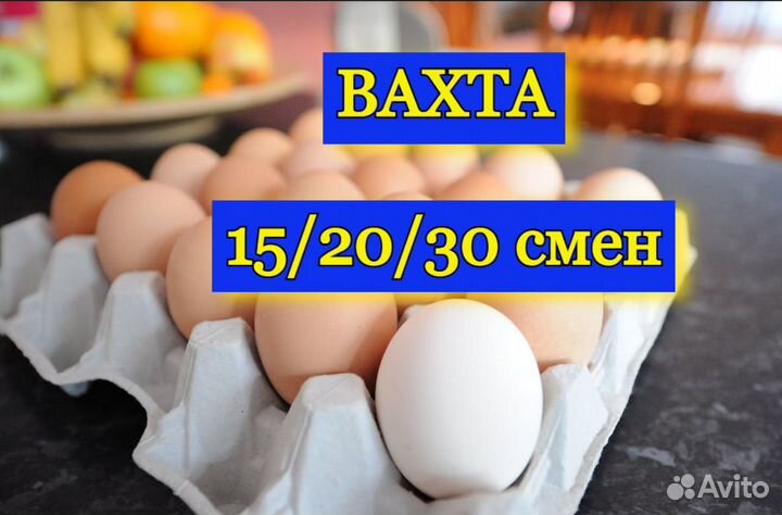 Сортировщик Вахта от 15 смен Питание/Проживание