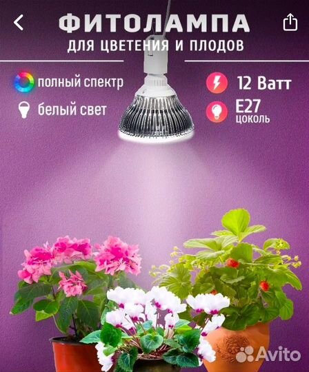 Лампа для рассады