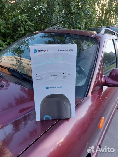 VK капсула умная колонка Маруся