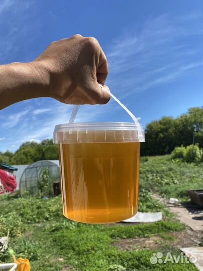 Мёд с пасеки