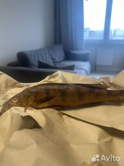 Рыба горячего копчения судак