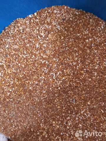 Ракушка кормовая