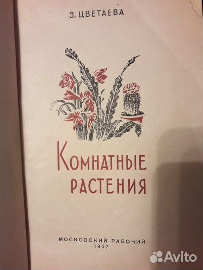 Комнатные растения. Цветник на подоконнике