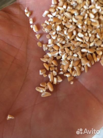 Комбикорм бр-1(Южная Корона) старт для бройлера