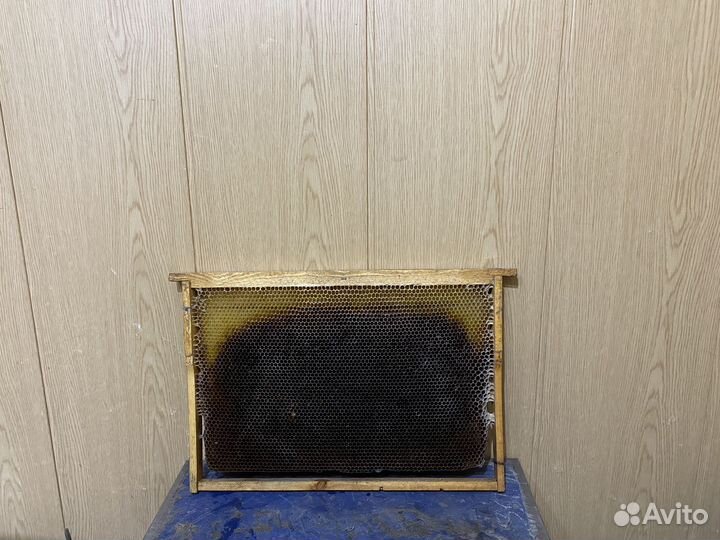 Сушь для пчел